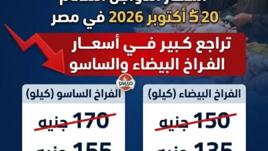 أسعار الدواجن اليوم الثلاثاء 20 أكتوبر 2026 في مصر.. تراجع الفراخ البيضاء والساسو في الأسواق