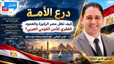 درع الأمة: كيف تظل مصر الركيزة الأساسية والعمود الفقري للأمن القومي العربي في مواجهة العواصف الجيوسياسية؟