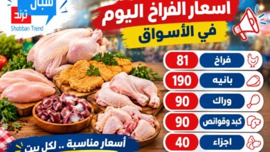 استقرار أسعار الدواجن واللحوم البيضاء في الأسواق اليوم استقرار أسعار الدواجن واللحوم البيضاء في الأسواق اليوم