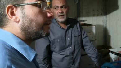 قبل وصولها للمواطنين.. ضبط طن ونصف أسماك فاسدة ومنتهية الصلاحية بالقليوبية