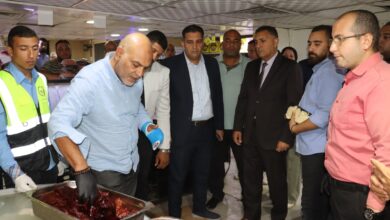 محافظ القليوبية يقود جولة رقابية بشرق شبرا الخيمة.. إعدام لحوم وهوت دوج وكبدة والتحفظ على رنجة للفحص