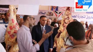 محافظ القليوبية يفتتح معرضين لتوفير السلع الغذائية بطوخ وغرب شبرا الخيمة بخصومات تصل إلى 30% لمواجهة الغلاء والتيسير على المواطنين