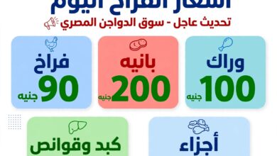 أسعار الدواجن اليوم الأحد 11 أكتوبر 2026.. الفراخ بـ90 جنيهًا والبانيه يسجل 200 جنيه أسعار الدواجن اليوم الأحد 11 أكتوبر 2026.. الفراخ بـ90 جنيهًا والبانيه يسجل 200 جنيه