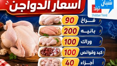 موجة جديدة تضرب أسعار الفراخ.. البانيه يعود إلى دائرة الارتفاعات في الأسواق اليوم الإثنين   