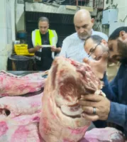 حملات مستمرة ومكثفة للحفاظ على صحة وسلامة المواطنين وغذائهم من مديرية الطب البيطري بالقليوبية بالاشتراك مع هيئة سلامة الغذاء بالقليوبية وحى غرب شبرا الخيمة 