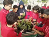 الشبان الخاصة ببنها تغرس بذور الوعي البيئي.. زراعة الأسطح تجربة تعليمية تجمع بين المعرفة والتطبيق