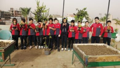 الشبان الخاصة ببنها تغرس بذور الوعي البيئي.. زراعة الأسطح تجربة تعليمية تجمع بين المعرفة والتطبيق