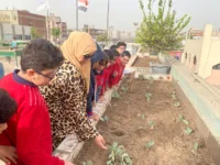 الشبان الخاصة ببنها تغرس بذور الوعي البيئي.. زراعة الأسطح تجربة تعليمية تجمع بين المعرفة والتطبيق