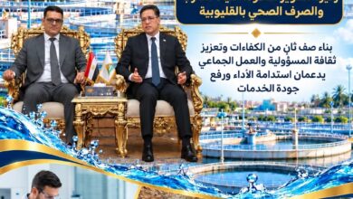 مياه القليوبية تؤهل 20 من كوادرها الشابة والقيادية ببرامج الماجستير والدكتوراه المهنية بالتعاون مع جامعة بنها