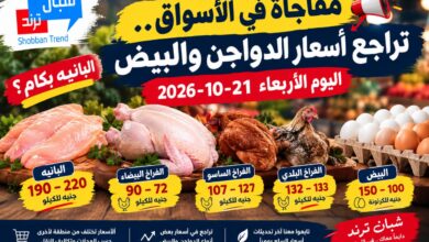 مفاجأة في الأسواق.. أسعار الفراخ والبيض تتحرك من جديد اليوم الأربعاء 21 أكتوبر 2026