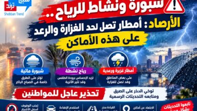 شبورة كثيفة ورياح نشطة وأمطار رعدية قد تصل للغزارة.. الأرصاد تحذر من تقلبات جوية في عدد من المحافظات