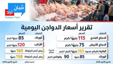بعد ارتفاع الأعلاف.. أسعار الدواجن والبانيه اليوم الخميس 29 أكتوبر 2026 بالأسواق