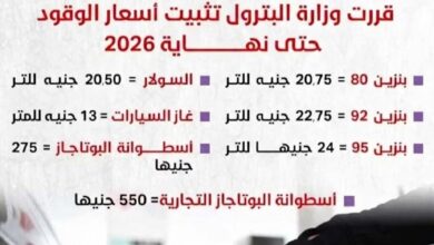 بشرى للمواطنين.. مصر تثبت أسعار البنزين والسولار دون زيادة حتى نهاية ديسمبر 2026