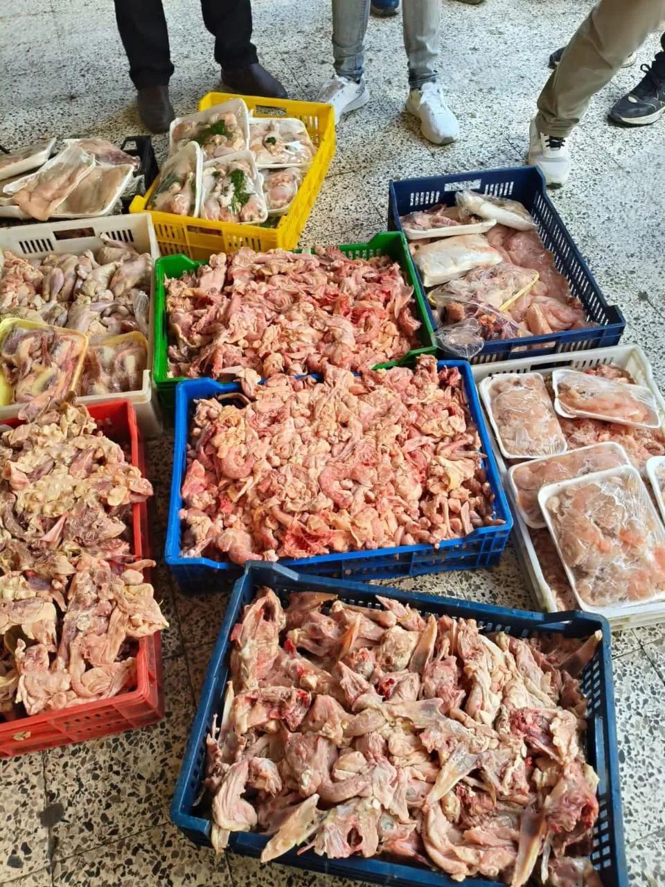 ضبط طن دواجن وهياكل فاسدة بمدينة العبور في القليوبية.. وإحالة الواقعة للنيابة ضبط طن دواجن وهياكل فاسدة بمدينة العبور في القليوبية.. وإحالة الواقعة للنيابة
