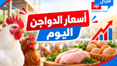 قفزة بسيطة في اسعار الدواجن ..تعرف علي الاسعار قفزة بسيطة في اسعار الدواجن ..تعرف علي الاسعار