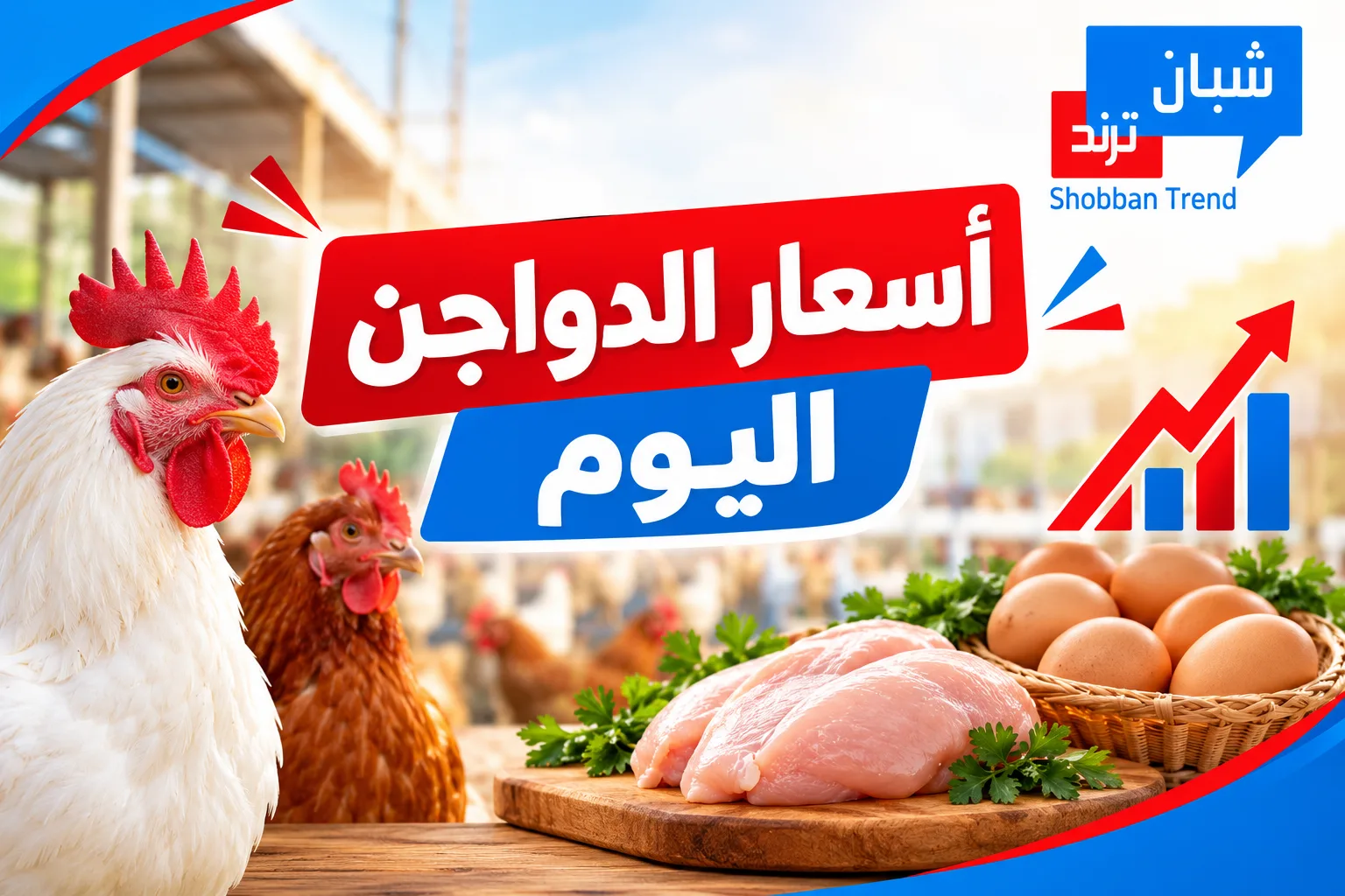 قفزة بسيطة في اسعار الدواجن ..تعرف علي الاسعار قفزة بسيطة في اسعار الدواجن ..تعرف علي الاسعار