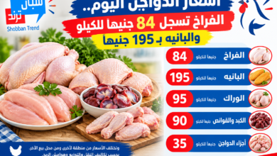 أسعار الدواجن اليوم.. الفراخ تسجل 84 جنيهًا للكيلو والبانيه بـ195 جنيهًا