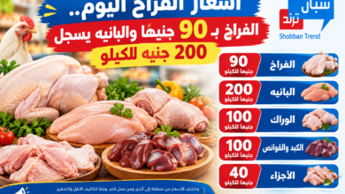 أسعار الفراخ اليوم.. الفراخ بـ90 جنيهًا والبانيه يسجل 200 جنيه للكيلو