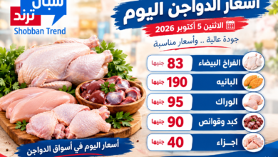 أسعار الدواجن اليوم.. الفراخ بـ83 جنيهًا والبانيه بـ190 جنيهًا